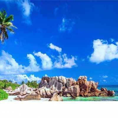 722cc彩票下载手机版